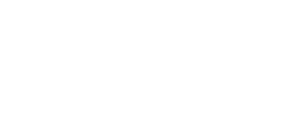 ENSO Audit logo blanco